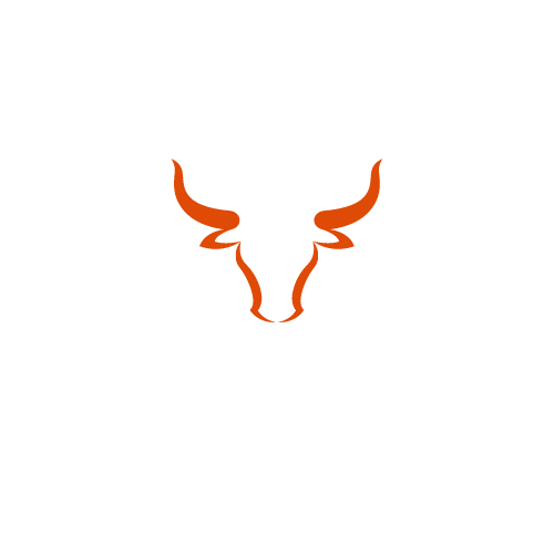 LONGHORN BOAT RV STORAGE